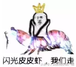 皮皮虾我们走是什么梗,