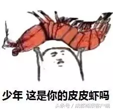 皮皮虾我们走是什么梗,