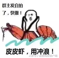 皮皮虾我们走是什么梗,