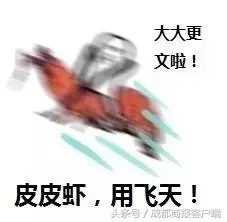 皮皮虾我们走是什么梗,