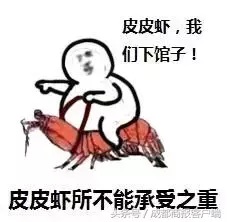 皮皮虾我们走是什么梗,