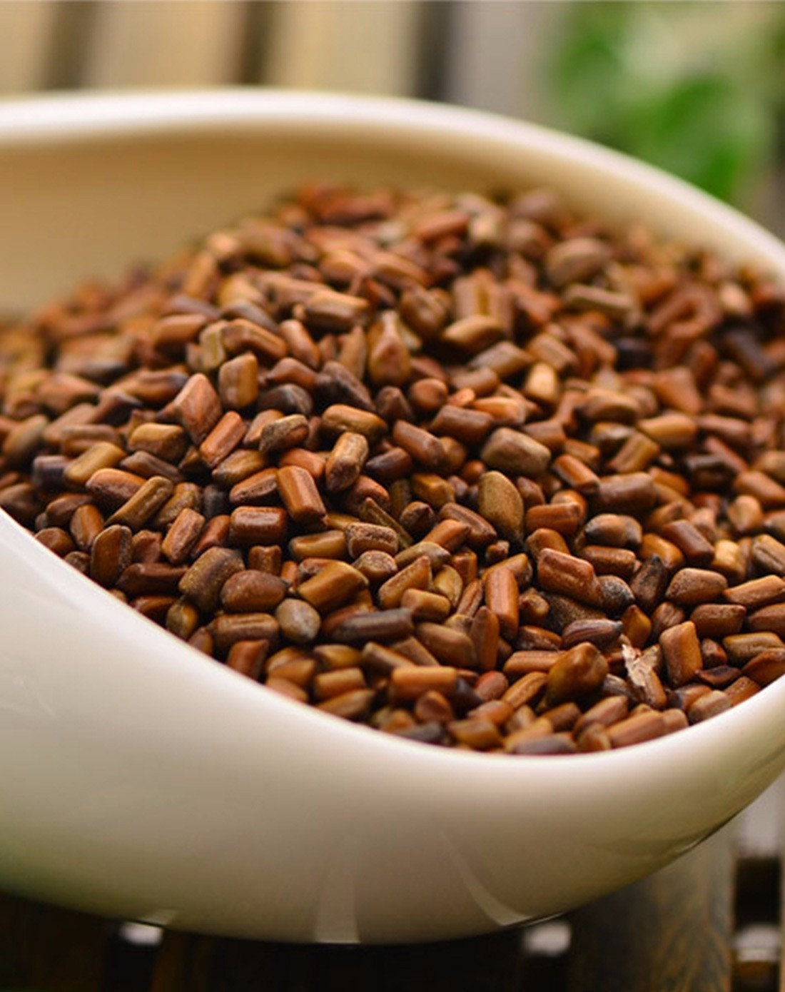 中药决明子图片(本草) - 赤虎壹号