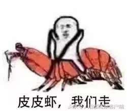 皮皮虾我们走是什么梗,