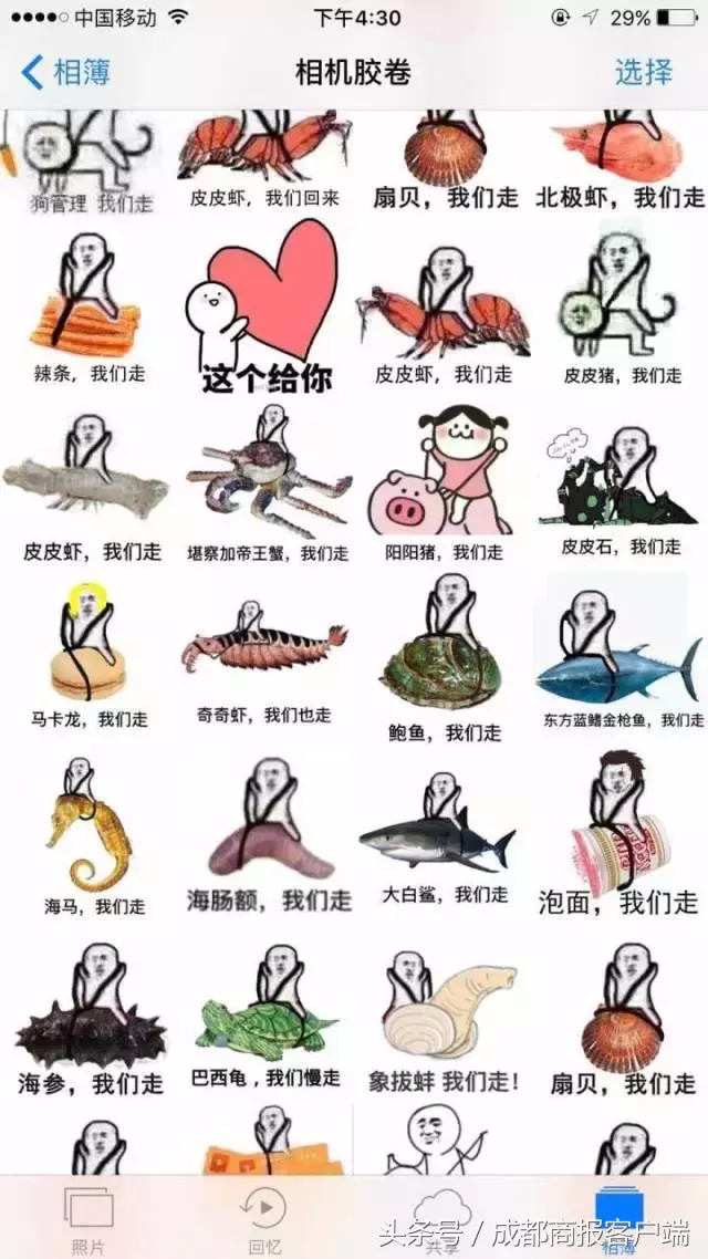 皮皮虾我们走是什么梗,