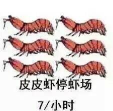 皮皮虾是什么梗，这几天怎么那么火？