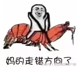 皮皮虾我们走是什么梗,