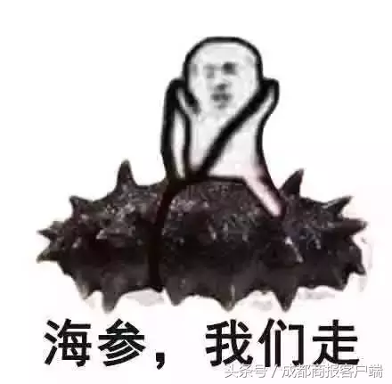 皮皮虾我们走是什么梗,