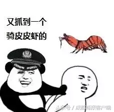 皮皮虾我们走是什么梗,