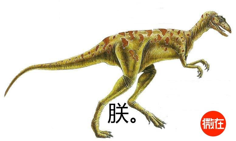 8 个《西游记》原著里的真相，你可能误会了这部经典