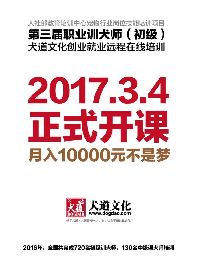 2016年，这些训犬师凭什么月收入过万？（第一篇）