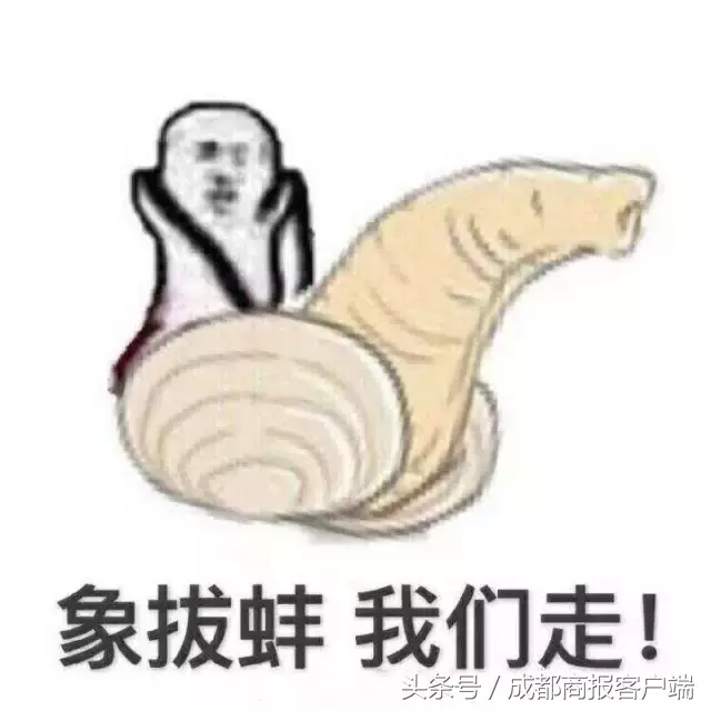 皮皮虾我们走是什么梗,