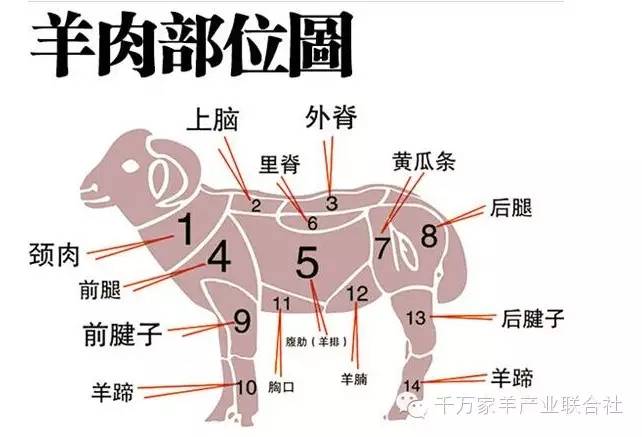 世界上食用量最多的10种动物肉