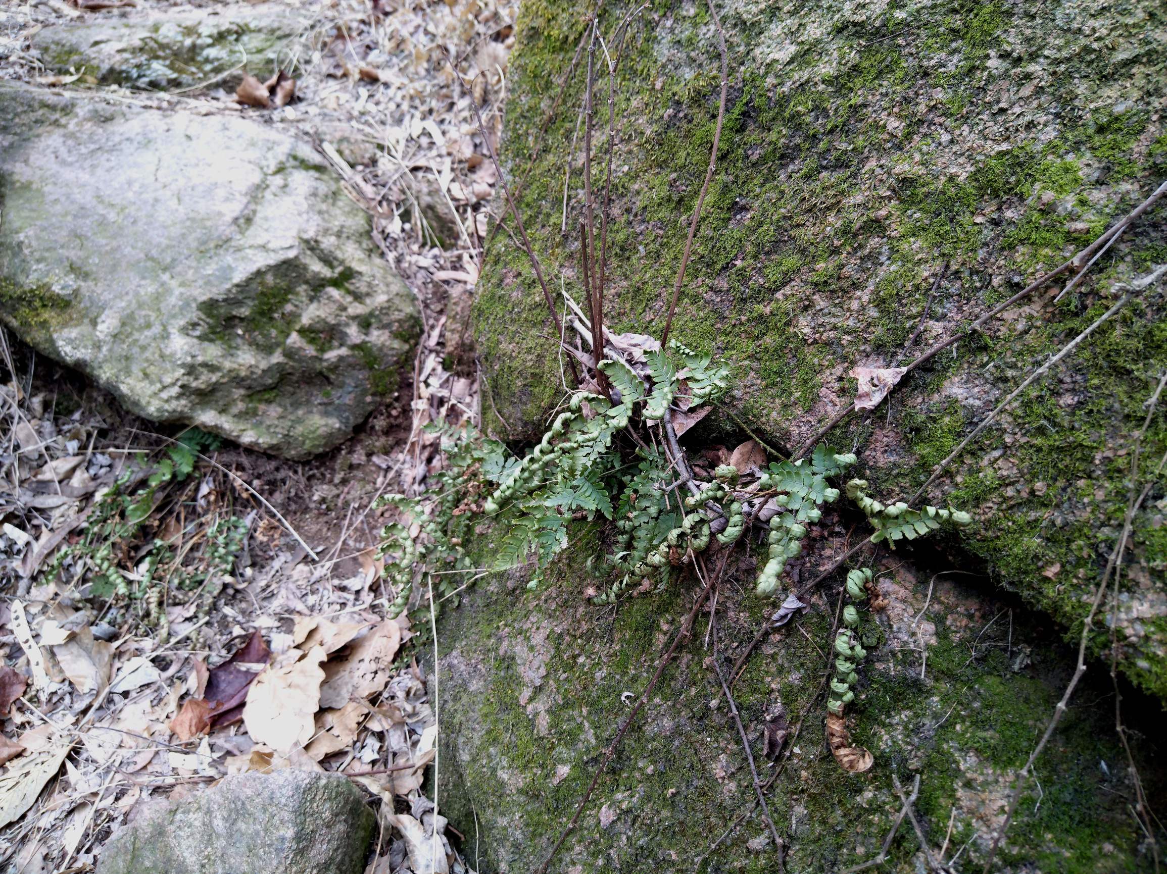 开春首游，石门山游记