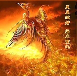 文化中向来都是配套使用的,既然有龙生九子之说,便诞生了凤育九雏之念