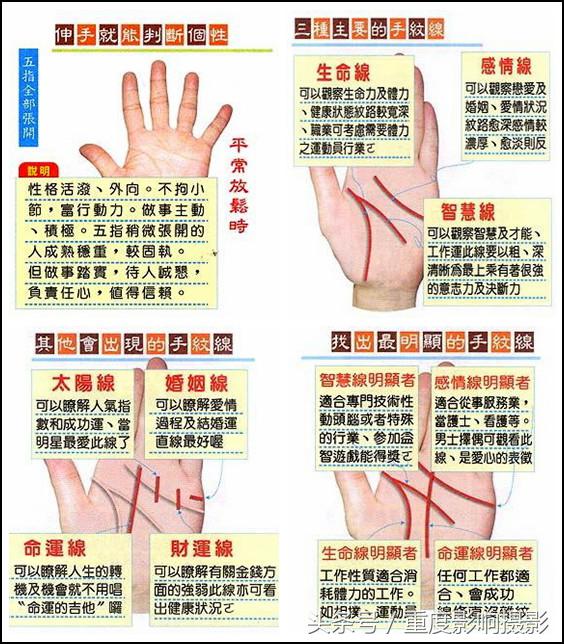 怎么看手相(图文讲解手相学的基本小知识)