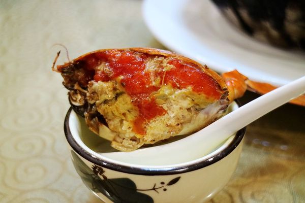 土龙的营养价值及功效(海土龙的营养价值及功效)