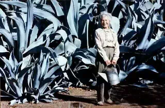 除了看书跑步谈恋爱，还有这11种方式燃爆你的大学生活