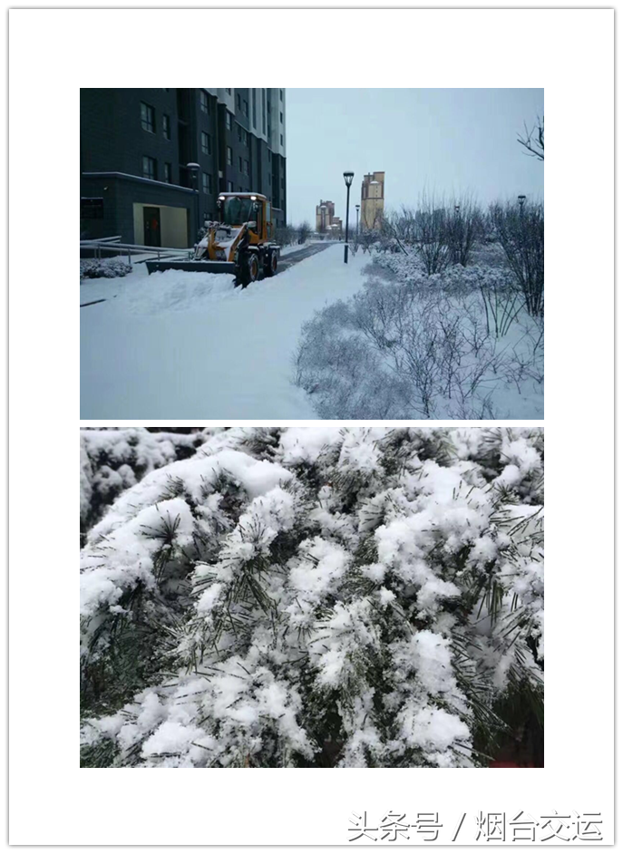 「烟台」下雪啦，汽车班次情况怎么查？