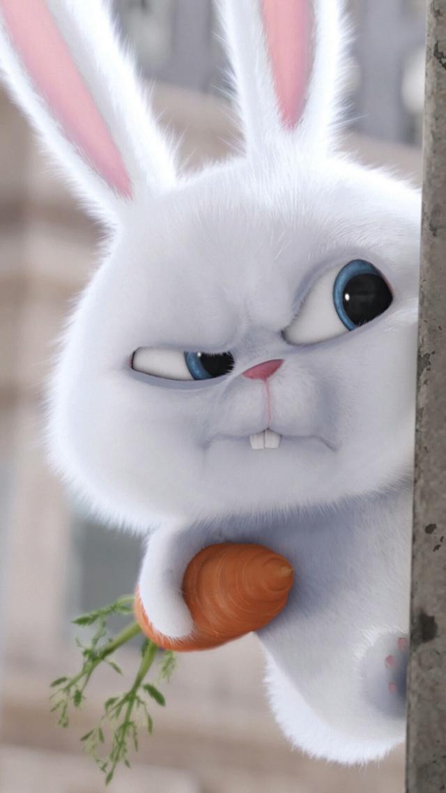 珍藏一年多各类唯美手机高清壁纸,听说换上屏保就舍不得换下来!