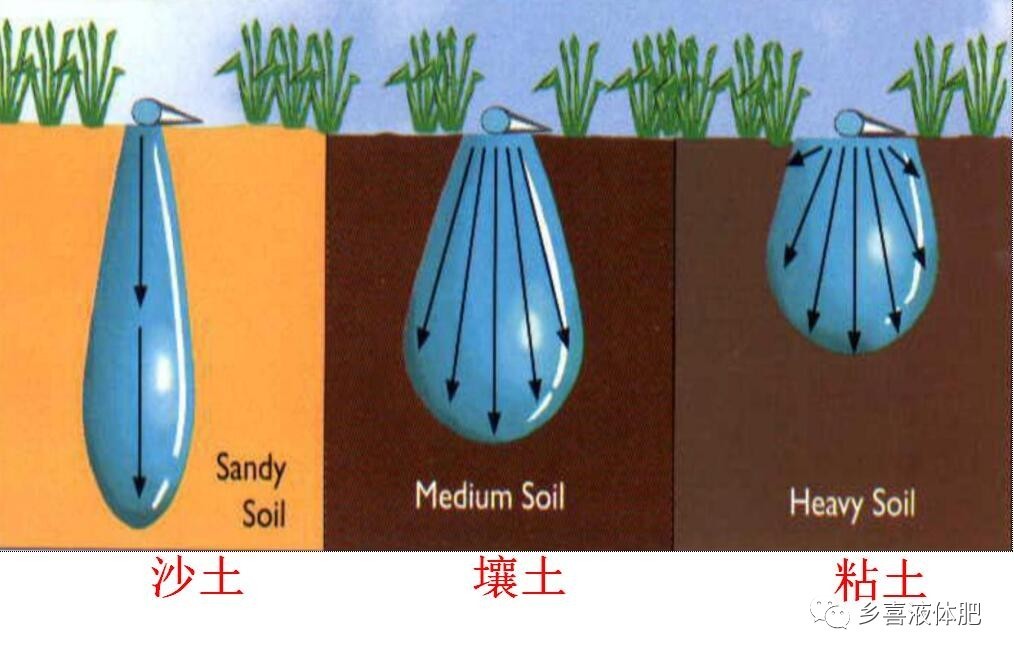 滴灌系统设计与及日常运行、管理和维护（以马铃薯为例）