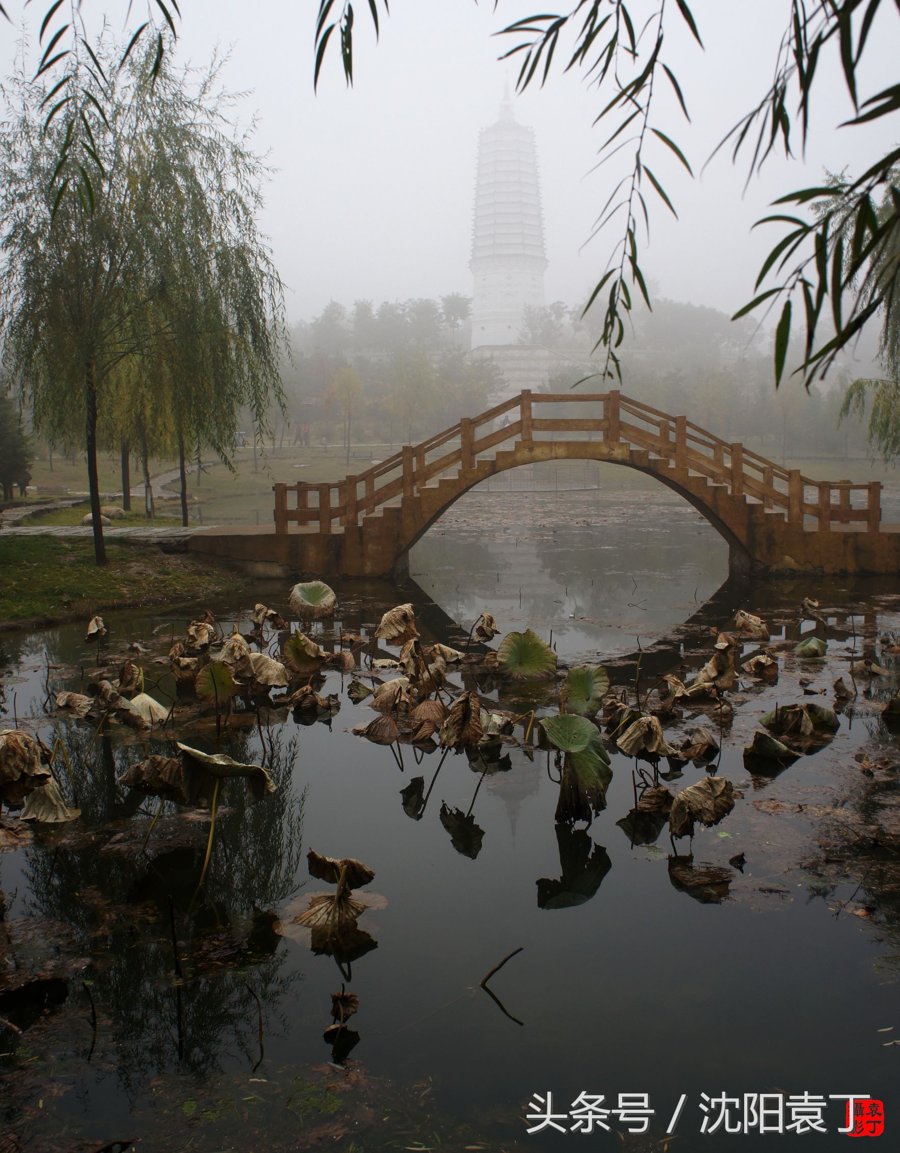 无垢净光舍利塔滩地公园_无垢净光舍利塔3dmax建模 - 成语词句网