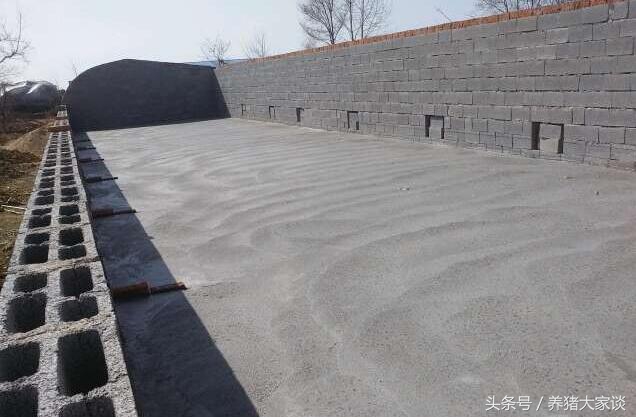 建養豬大棚需要多少錢,建養豬大棚需要多少錢養豬大棚建設