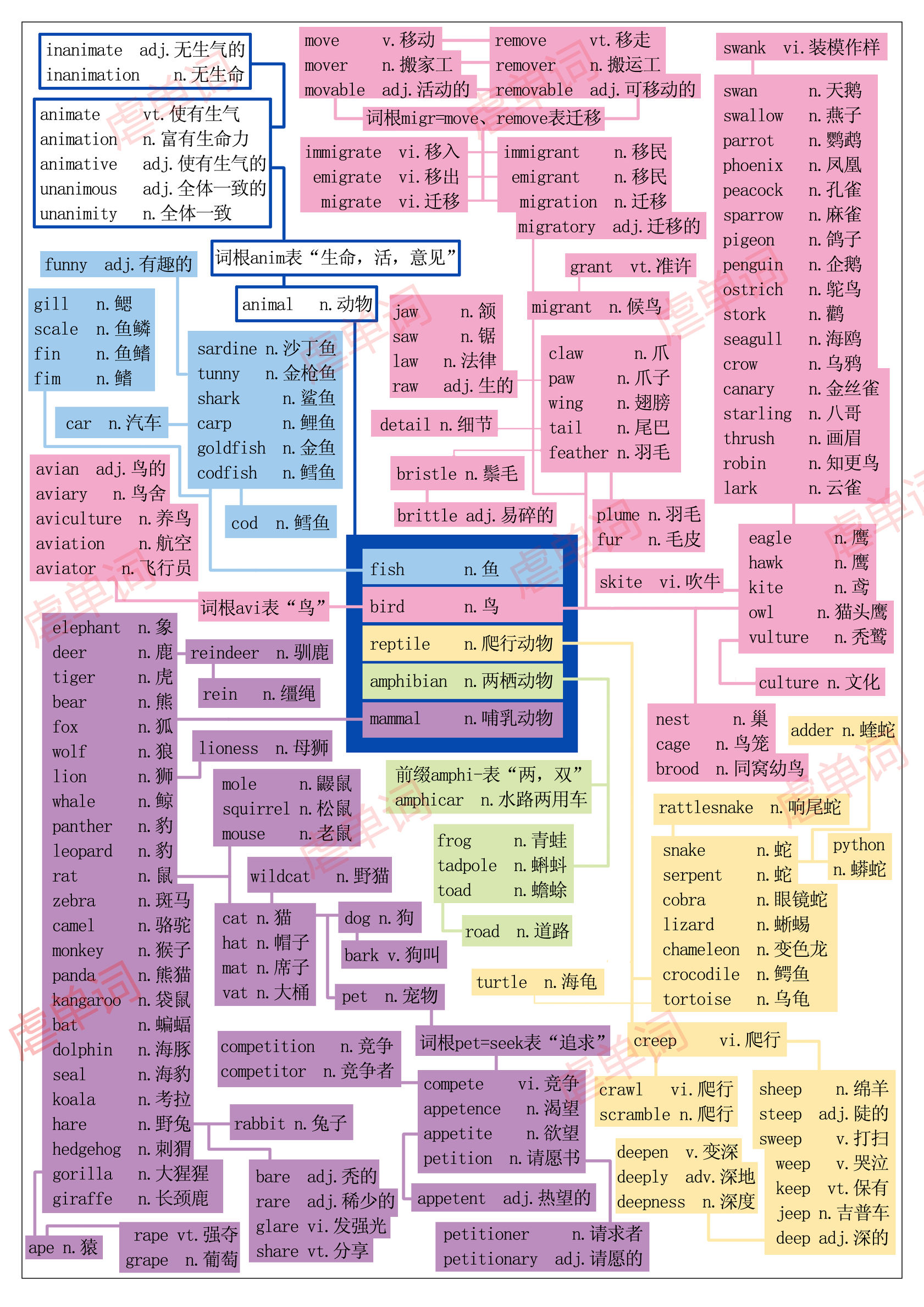 乌龟turtle英文怎么读（乌龟英语怎么读t）-第1张图片-科灵网