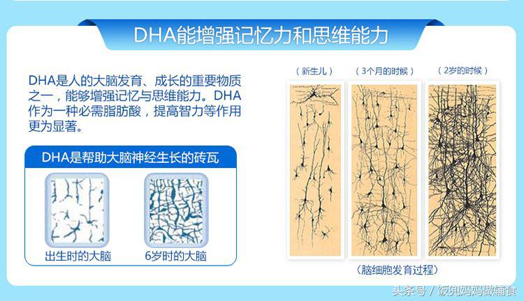 DHA何时吃？DHA从哪里补？关于这些问题，妈妈需要读这篇！