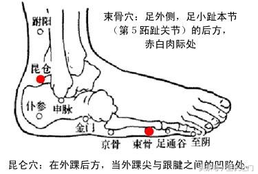 颈椎病莫掉以轻心，是心脑血管疾病在预警，治疗可用葛根