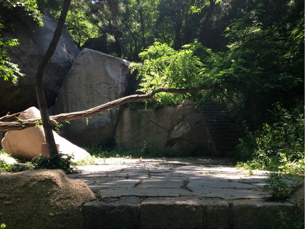 干货:山东淄博鲁山森林公园旅游攻略