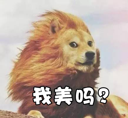 二月二龙抬头，盘点12星座和理发师的二三事！