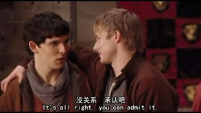 在阅读Merlin传奇王子和仆人之间的互动之后，我相信爱情。