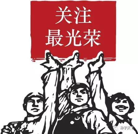 河南：2017年初審?fù)ㄟ^玉米、水稻、棉花、大豆品種公示！