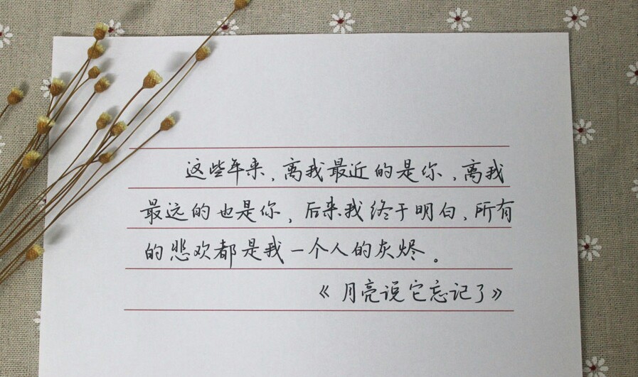 钢笔字唯美句子_晶羽科技