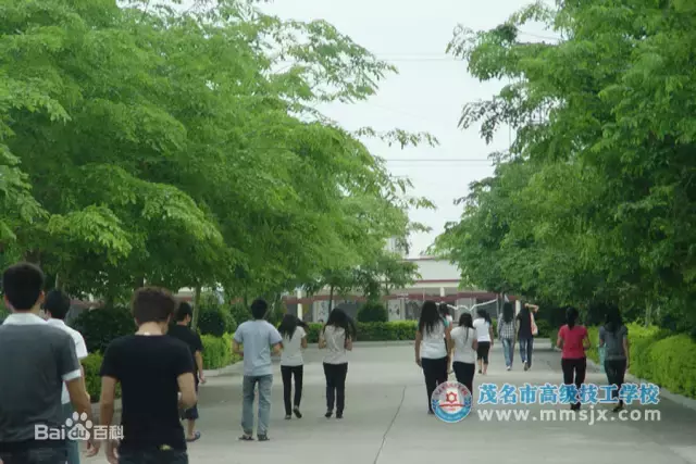 2017茂名“最美大学”评选，为你的母校投一票吧！（附图集）