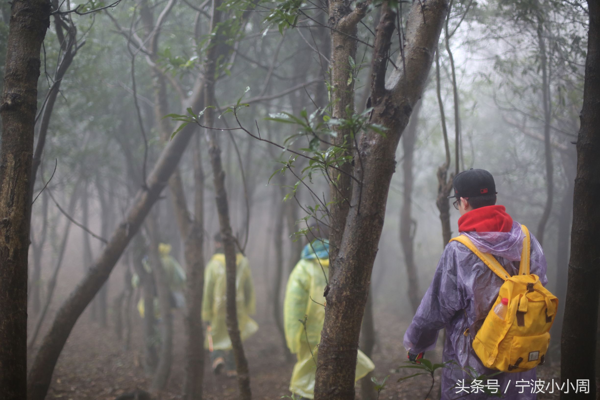 宁波 天童寺 天童国家森林公园 太白山 古天童徒步