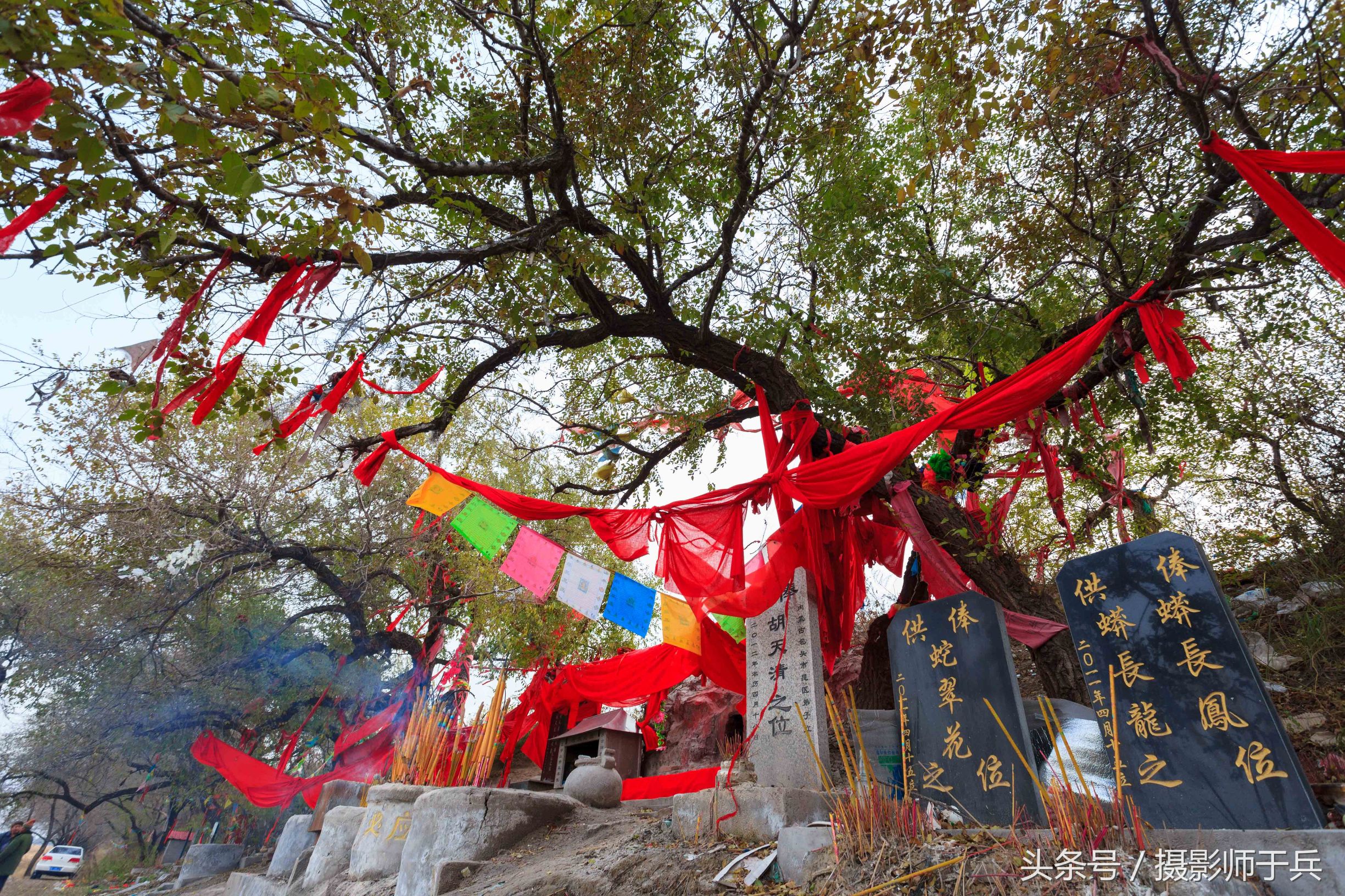 綏化肇東八里城有個狐仙洞,黃狐二仙據說很靈驗