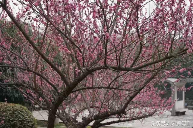 在镇江，有一种传奇叫江科大！