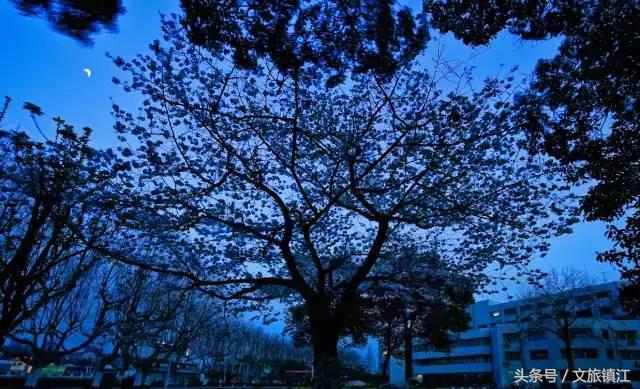 在镇江，有一种传奇叫江科大！