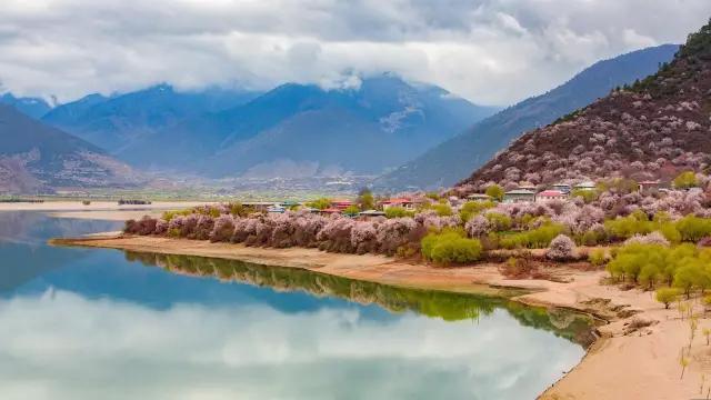 西藏处处是美景，但这个季节最美的是林芝！