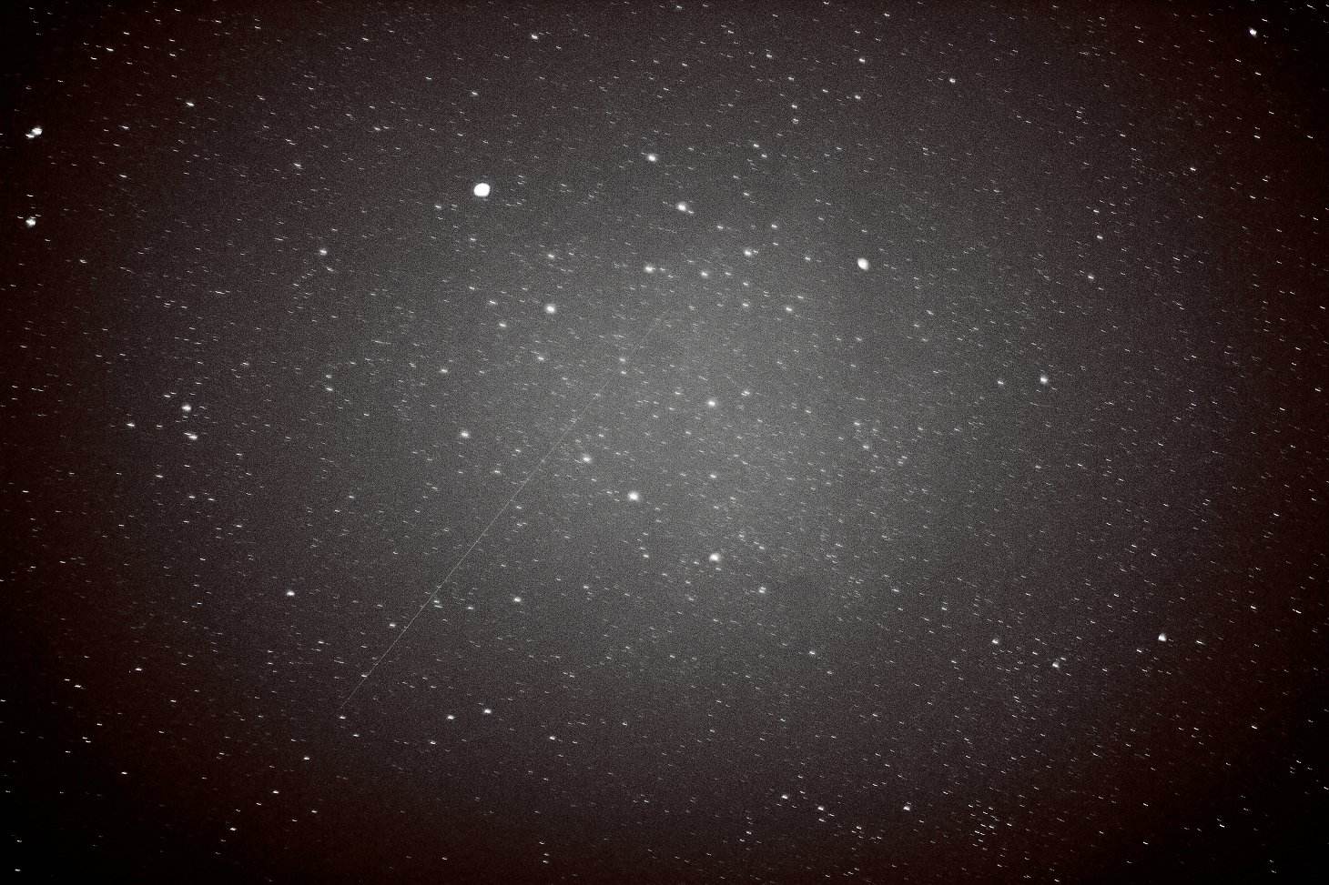 牛郎星是什么星座(牛郎星是什么星座中最亮的星星)