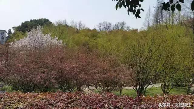 在镇江，有一种传奇叫江科大！