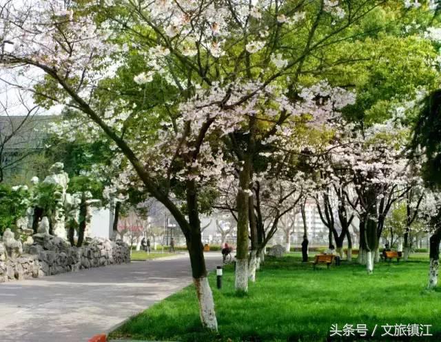 在镇江，有一种传奇叫江科大！