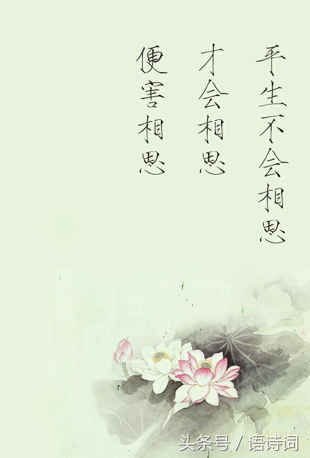 入我相思门知我相思苦这句话的含意不入相思门怎知相思苦