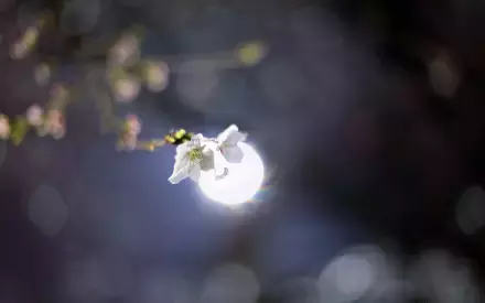 武汉最美14大“校花”出炉，颜值爆表，第一个就让我无法自拔！