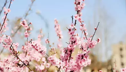 武汉最美14大“校花”出炉，颜值爆表，第一个就让我无法自拔！