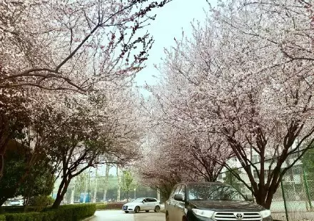 武汉最美14大“校花”出炉，颜值爆表，第一个就让我无法自拔！