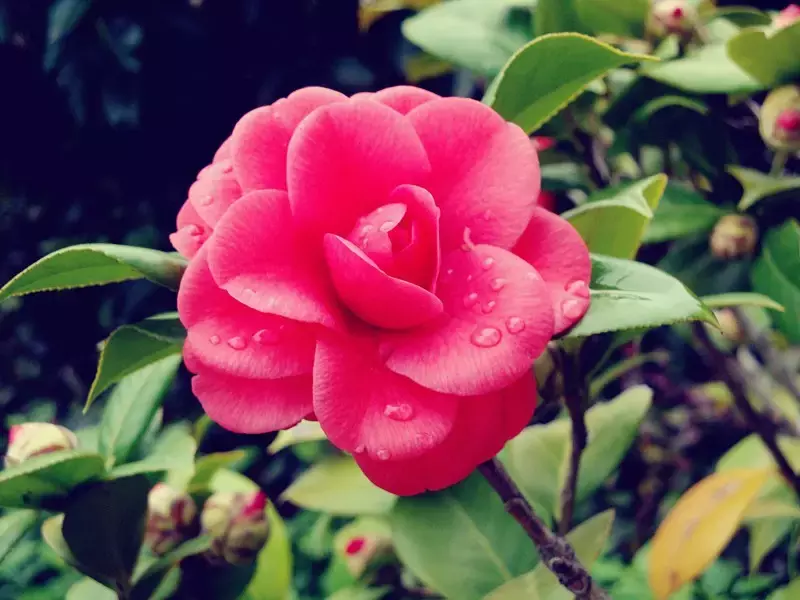 武汉最美14大“校花”出炉，颜值爆表，第一个就让我无法自拔！