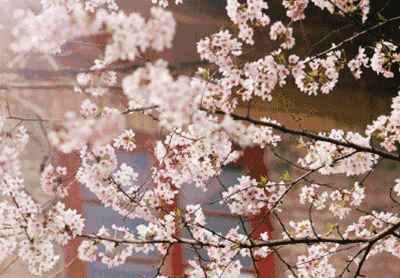 武汉最美14大“校花”出炉，颜值爆表，第一个就让我无法自拔！