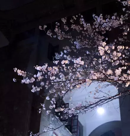 武汉最美14大“校花”出炉，颜值爆表，第一个就让我无法自拔！